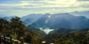 поставщиками