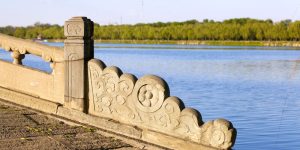 закупки в Иу